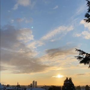 Meet your Posher, Fiona